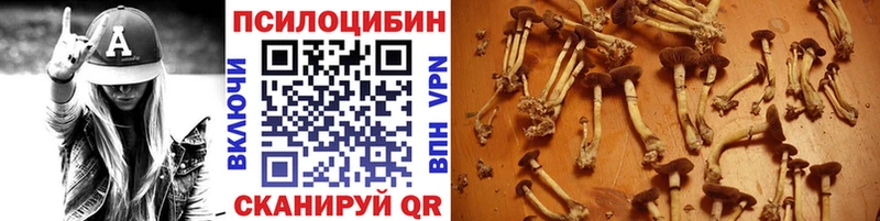 ОМГ ОМГ ссылка  Верхотурье  Псилоцибиновые грибы мухоморы 